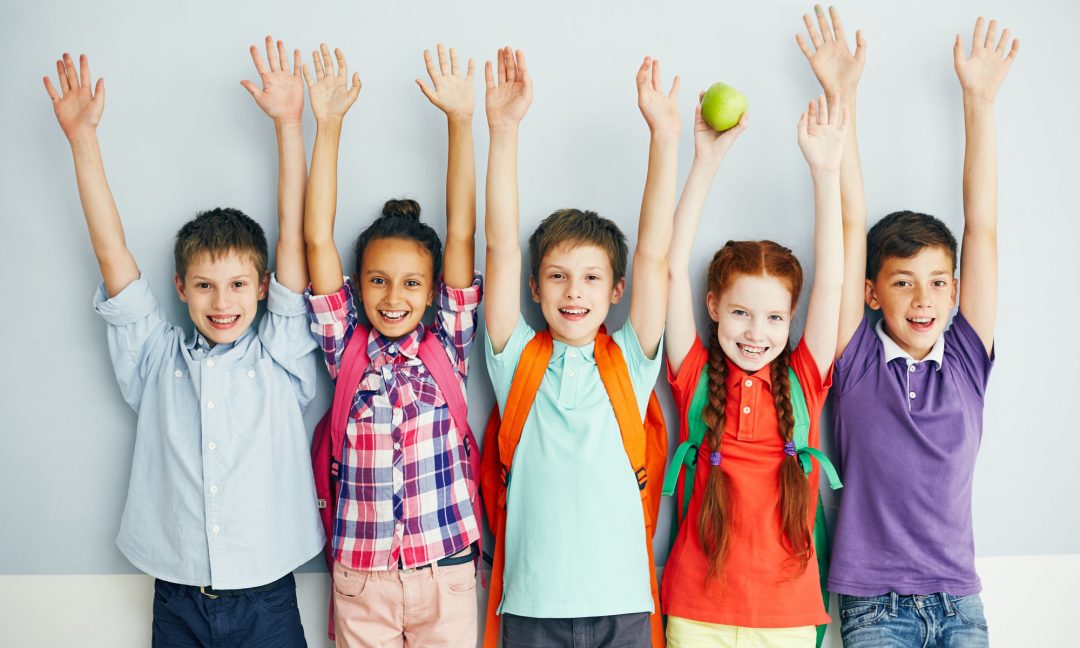 Presentation: The preparation for holding World Heath Day in LA 2018